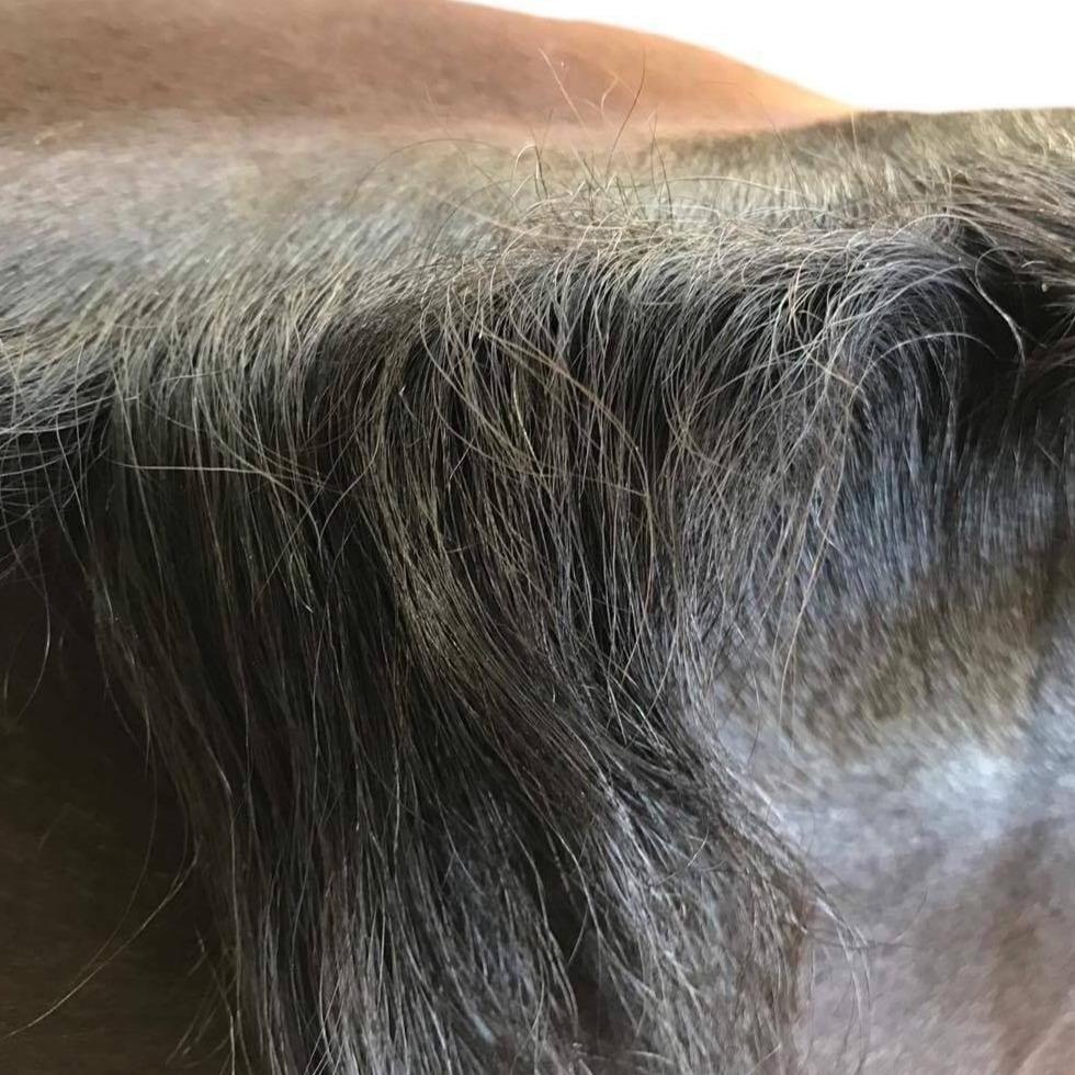 Hairy Pony Plaiting Taming Wax - 4