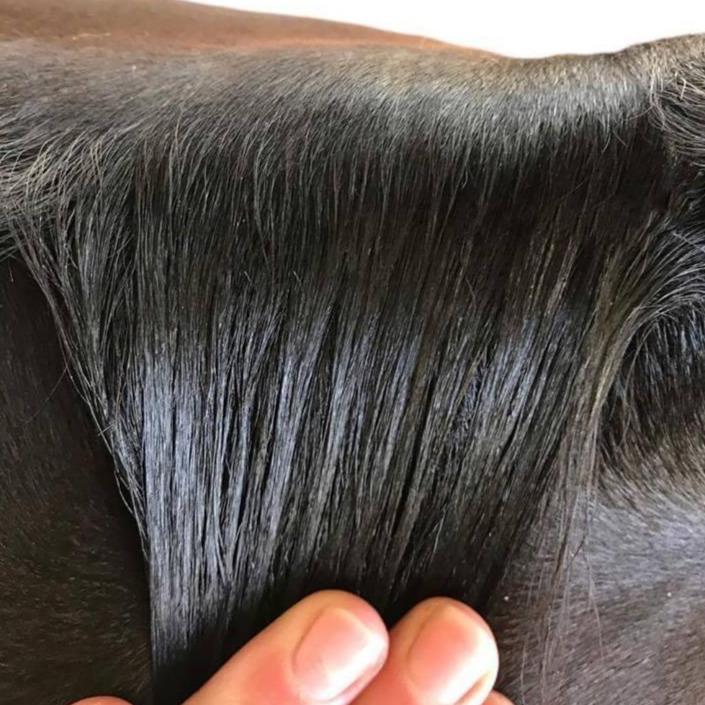 Hairy Pony Plaiting Taming Wax - 5