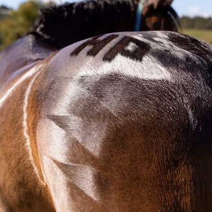Hairy Pony Quarter Mark Horse Brush - 10