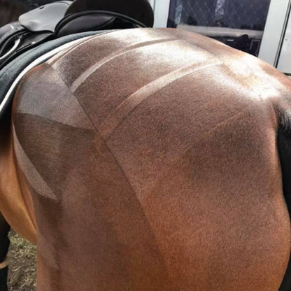 Hairy Pony Quarter Mark Horse Brush - 5