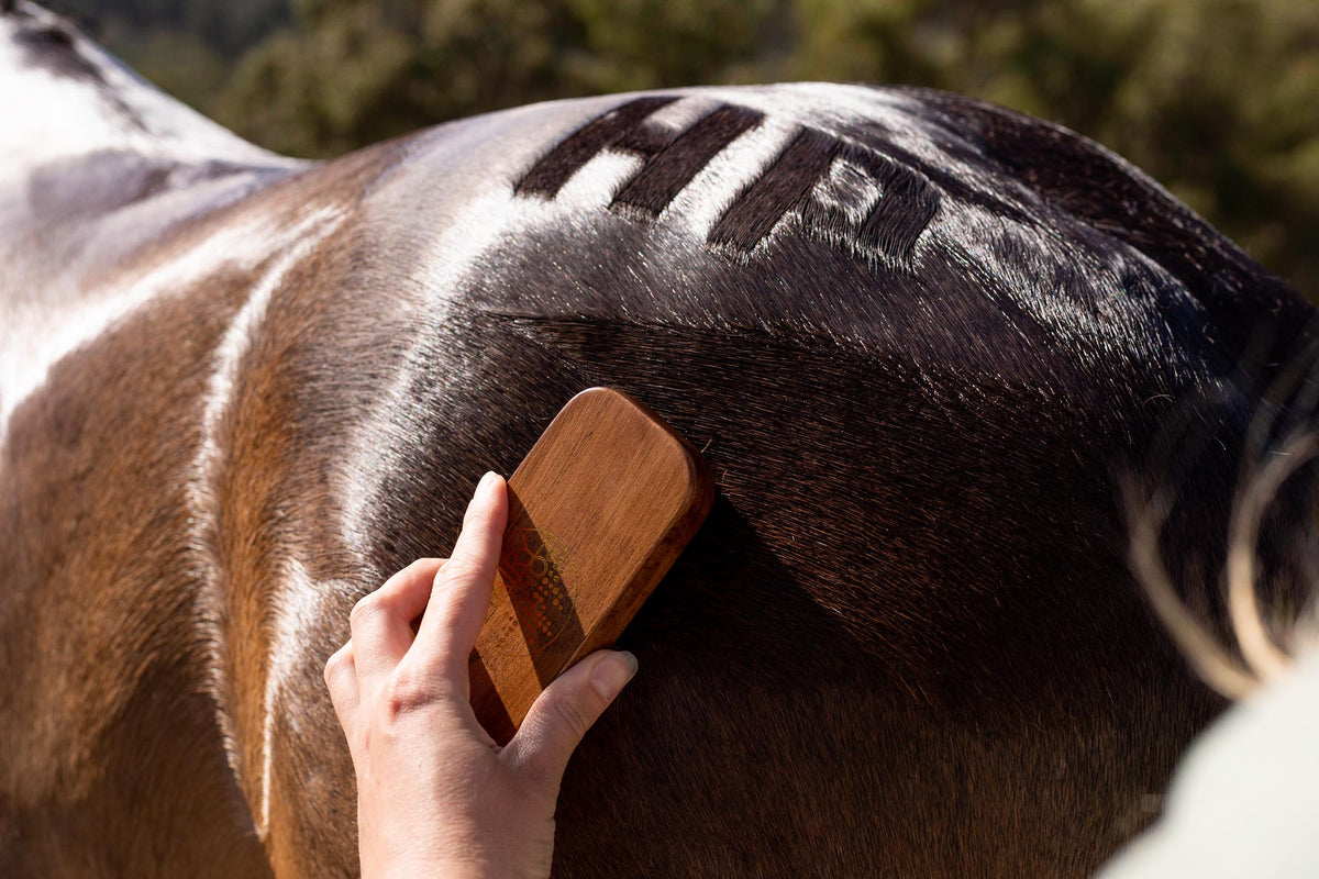 Hairy Pony Quarter Mark Horse Brush - 8
