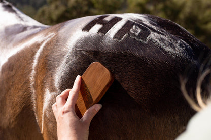 Hairy Pony Quarter Mark Horse Brush - 8
