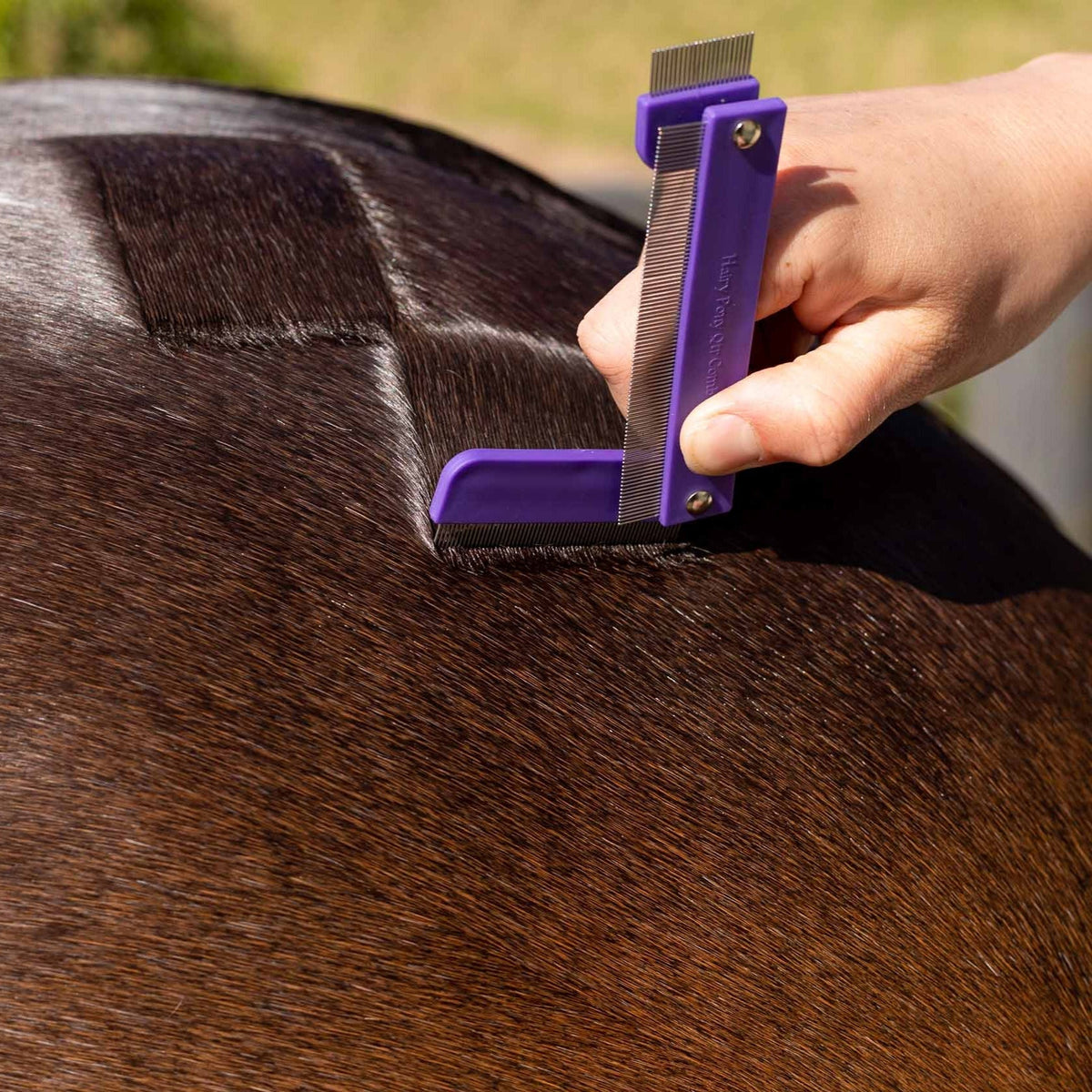 Hairy Pony Quarter Mark Horse Comb - 5