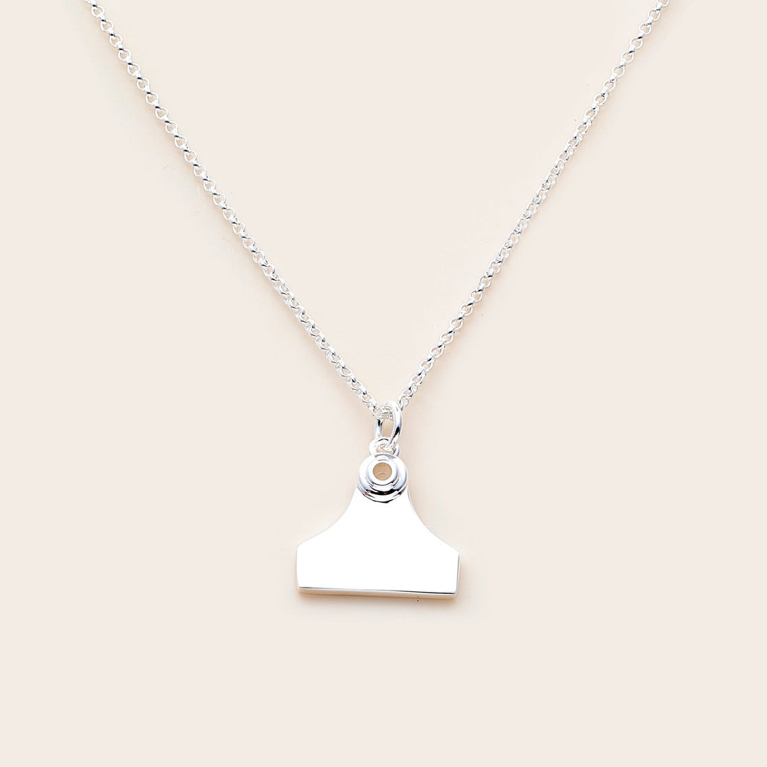 Whistle &amp; Pop Cattle Tag Necklace