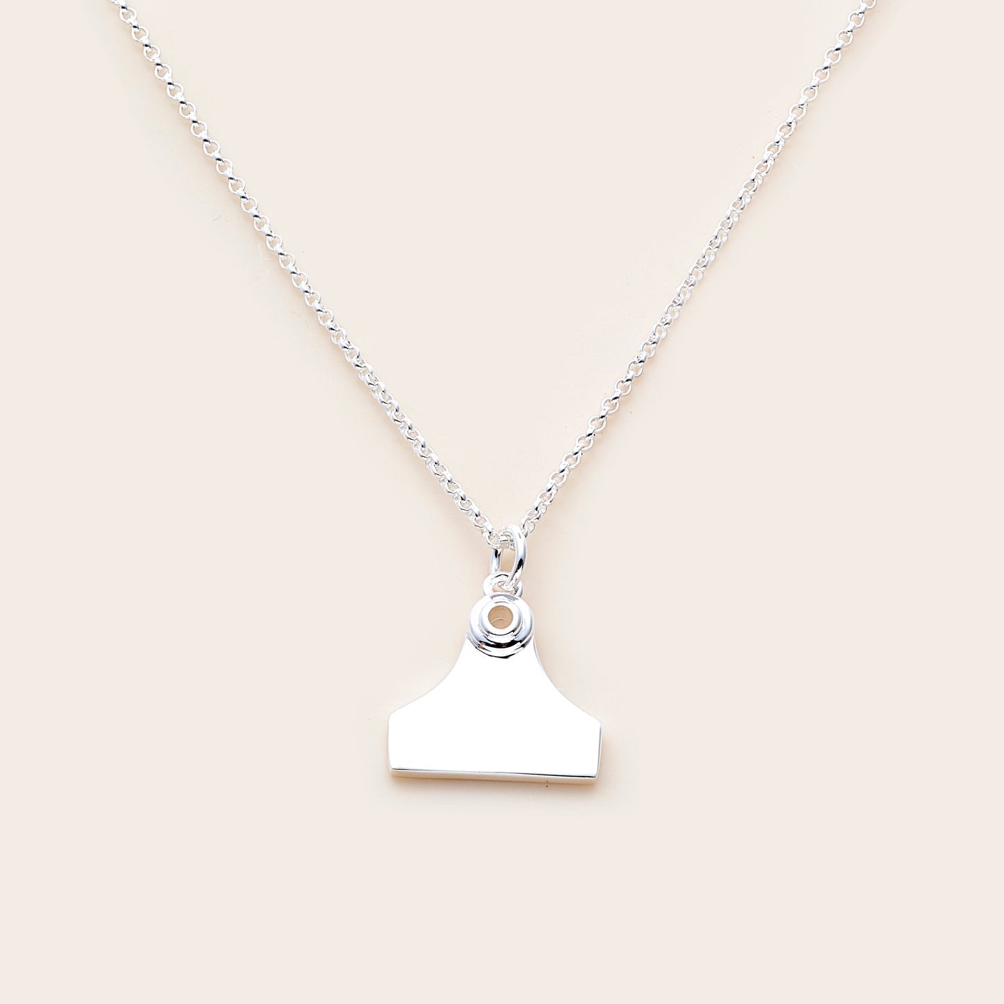 Whistle &amp; Pop Cattle Tag Necklace