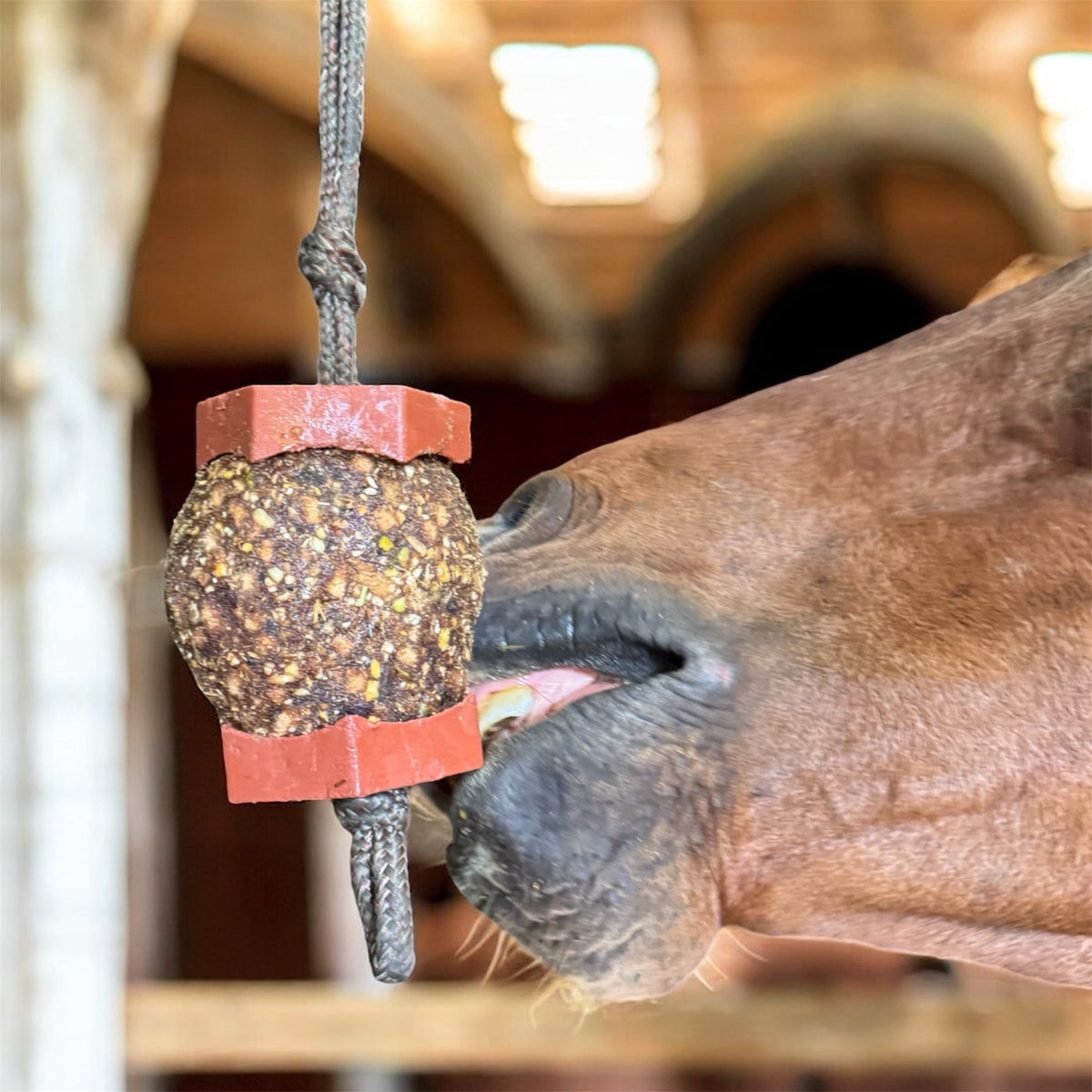 Horse Health StayBall Saver - 2