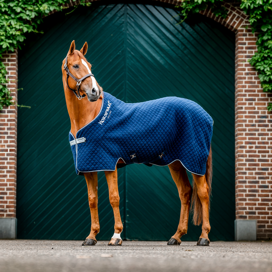 Horseware Autumn Cooler