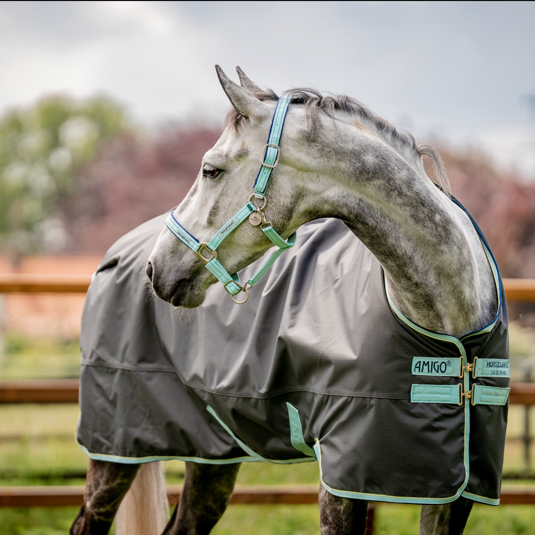 Horseware Ireland Field Safe Headcollar - 2