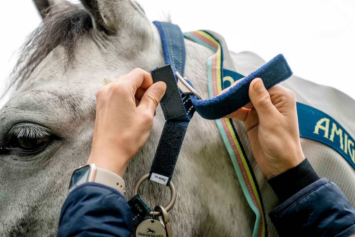 Horseware Ireland Field Safe Headcollar - 3