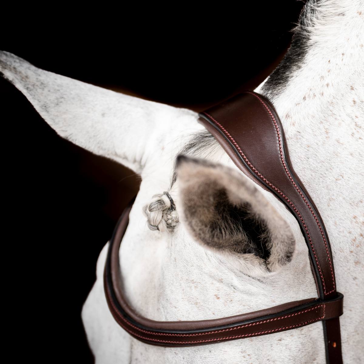 Horseware Ireland Micklem 2 Competition Bridle - 4