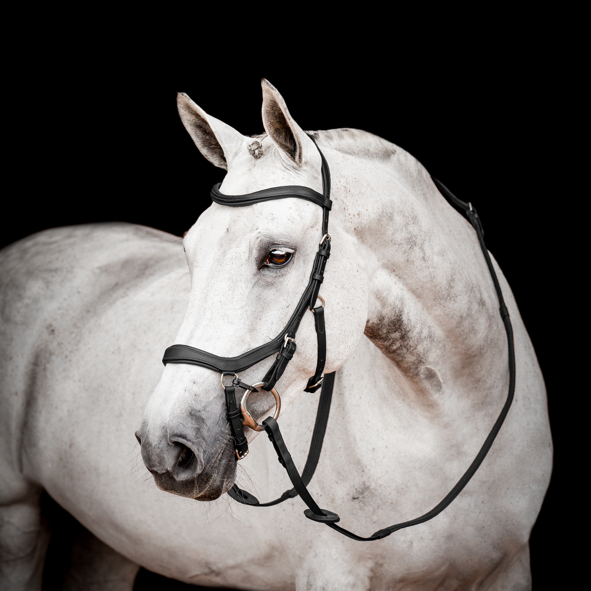 Horseware Ireland Micklem 2 Competition Bridle