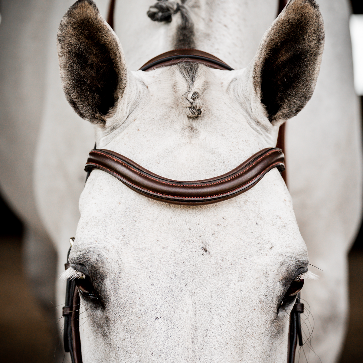 Horseware Ireland Micklem 2 Deluxe Competition Bridle - 4