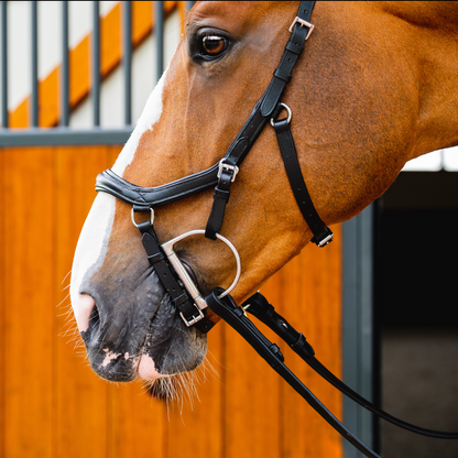 Horseware Ireland Micklem 2 Deluxe Competition Bridle - 5