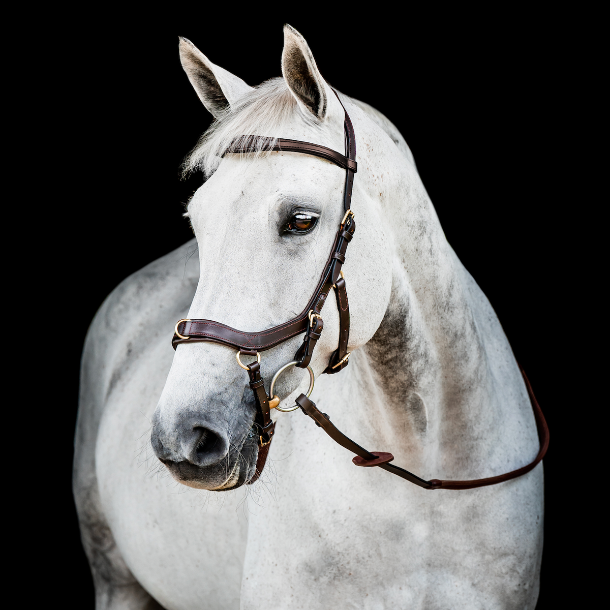 Horseware Ireland Micklem 2 Multi-Bridle - 2