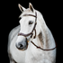 Horseware Ireland Micklem 2 Multi-Bridle - 2