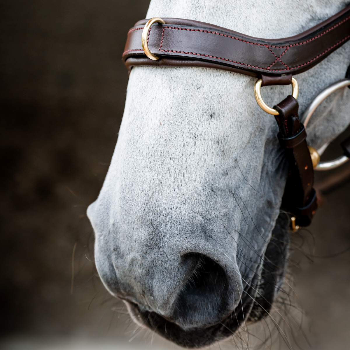 Horseware Ireland Micklem 2 Multi-Bridle - 3