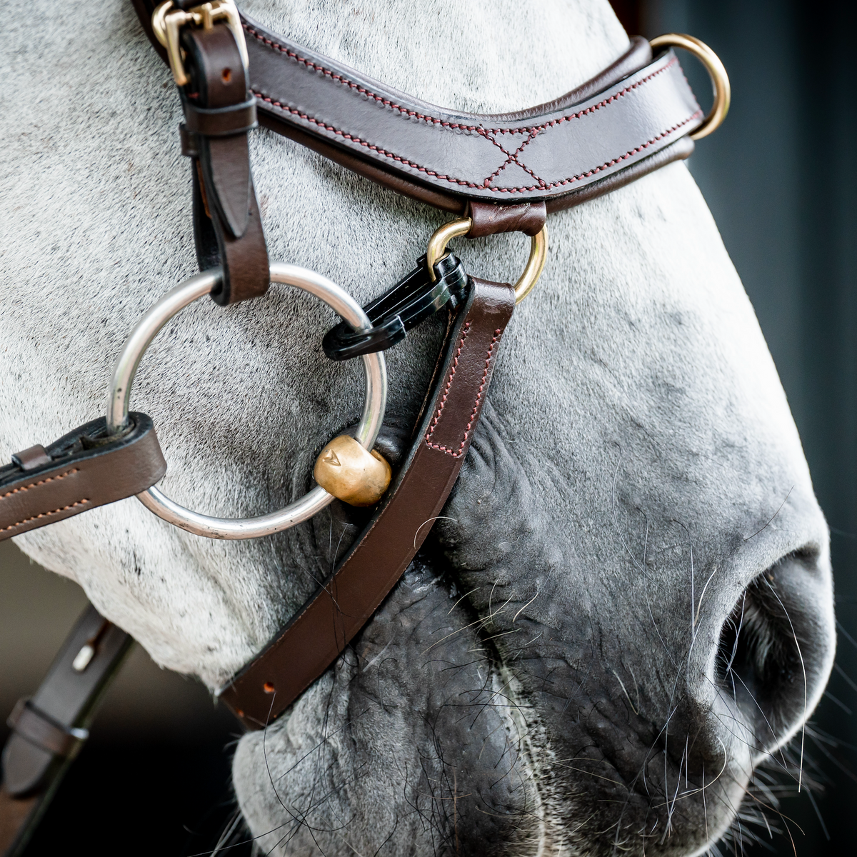 Horseware Ireland Micklem 2 Multi-Bridle - 4