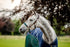 Horseware Ireland Signature Braided Headcollar - 2