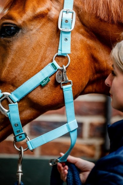 Horseware Ireland Signature Grooming Headcollar - 6