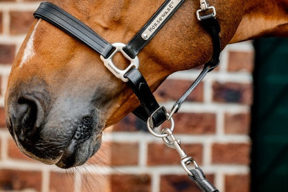 Horseware Ireland Signature Leather Headcollar - 3