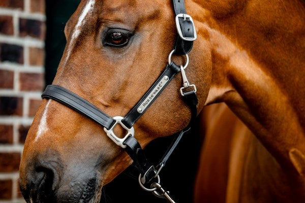 Horseware Ireland Signature Leather Headcollar - Black