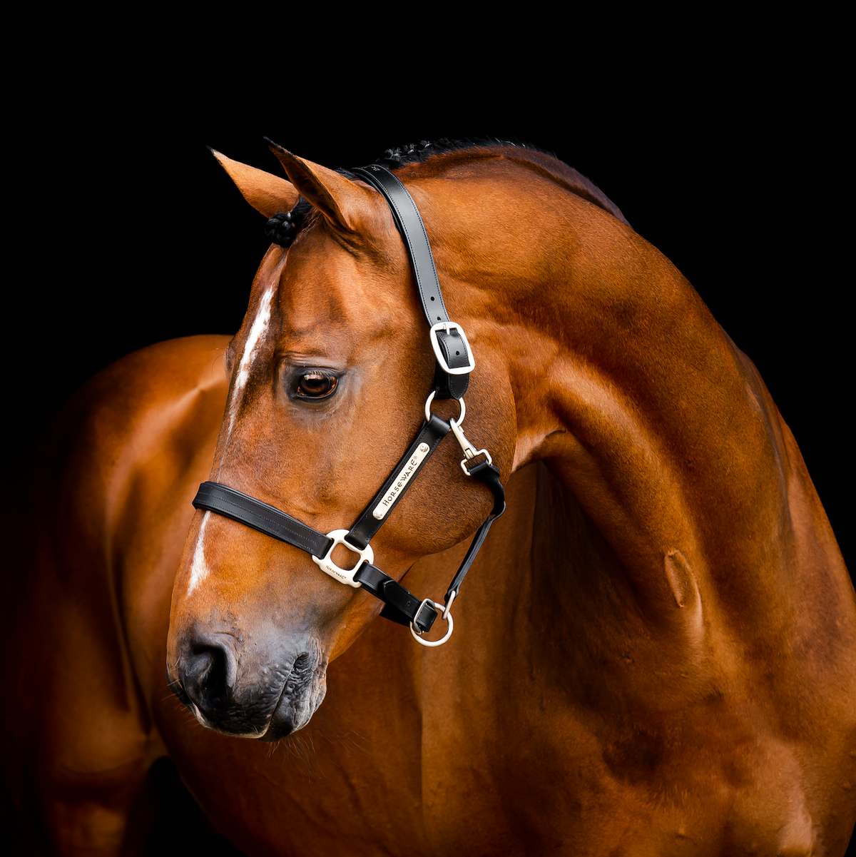 Horseware Ireland Signature Leather Headcollar