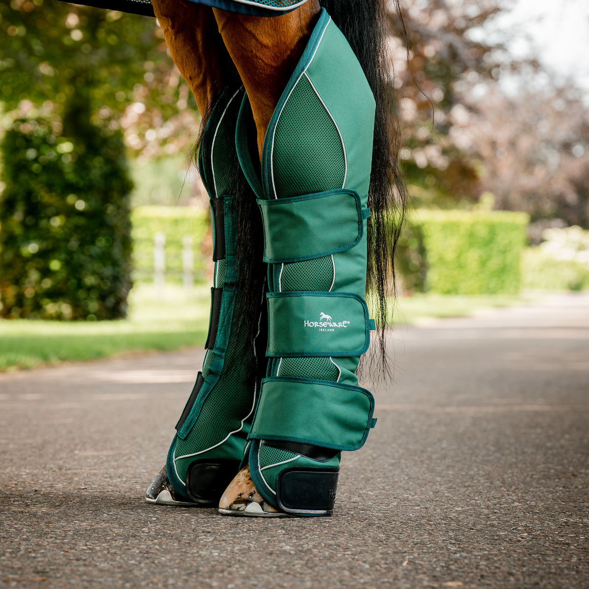 Horseware Ireland Signature Travel Boots - 3