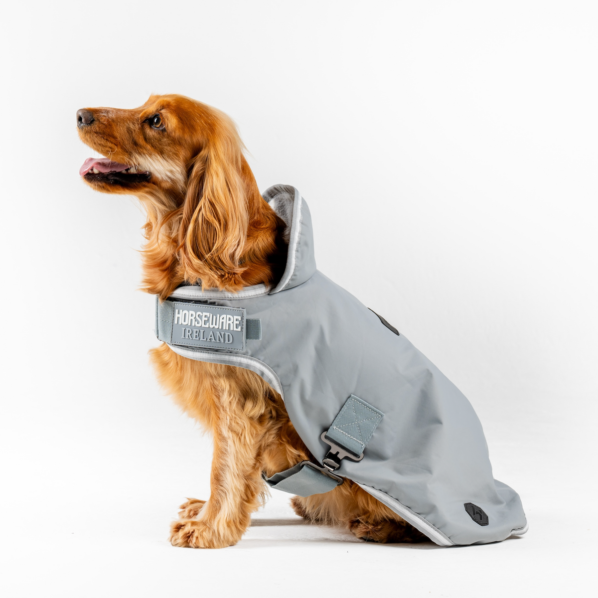 Horseware Newmarket Dog Coat - 5