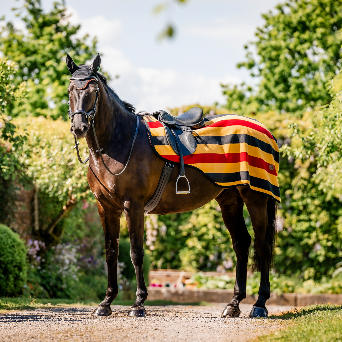 Horseware Newmarket Exercise Sheet - 2