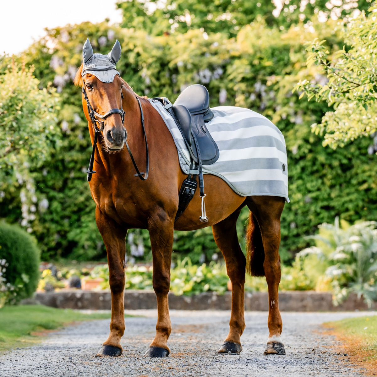 Horseware Newmarket Exercise Sheet - 4