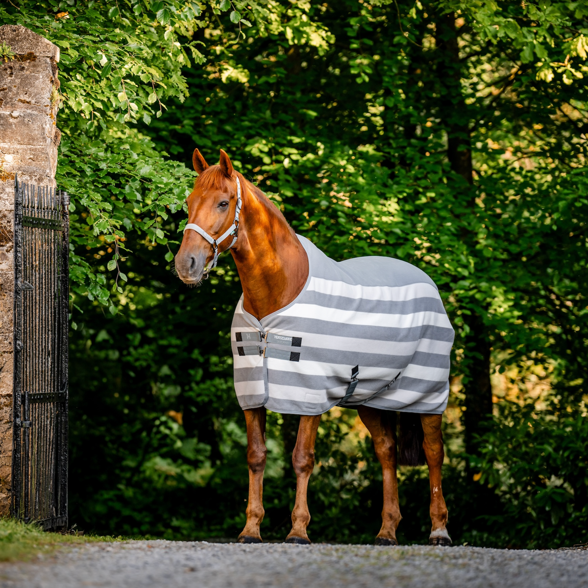 Horseware Newmarket Fleece Cooler - 3