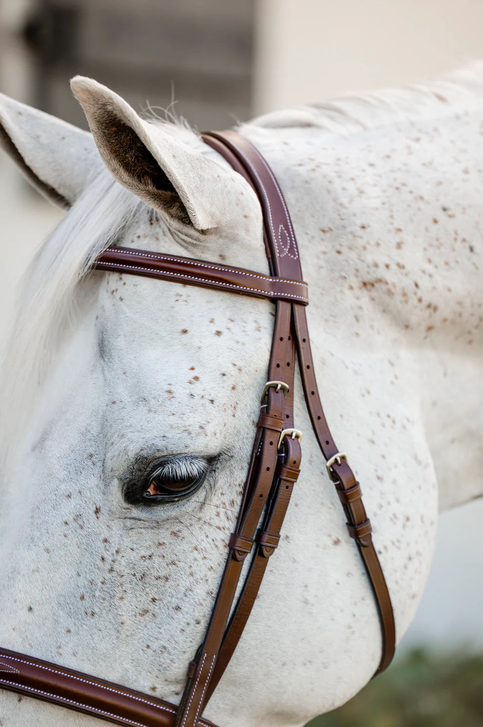 Horseware Pony Hunter Cavesson Bridle w/reins - 2