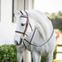 Horseware Pony Hunter Cavesson Bridle w/reins