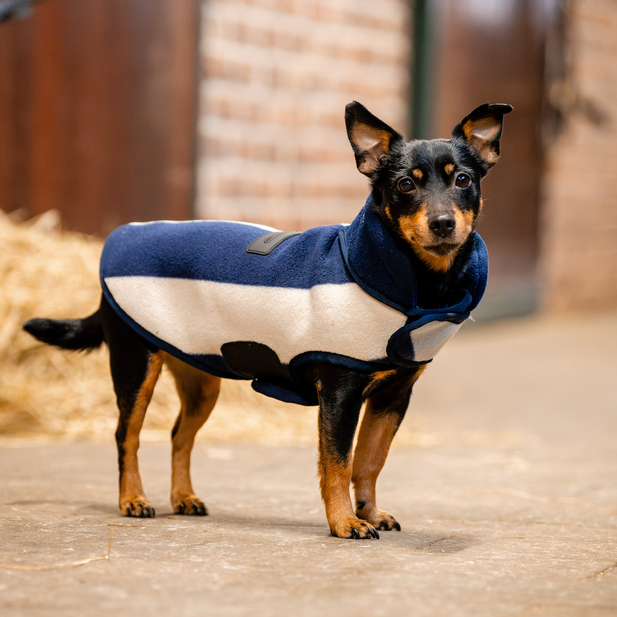 Horseware Signature Dog Fleece - 2