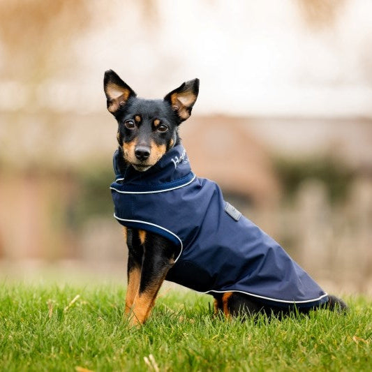 Horseware Signature Dog Rain Coat - 3