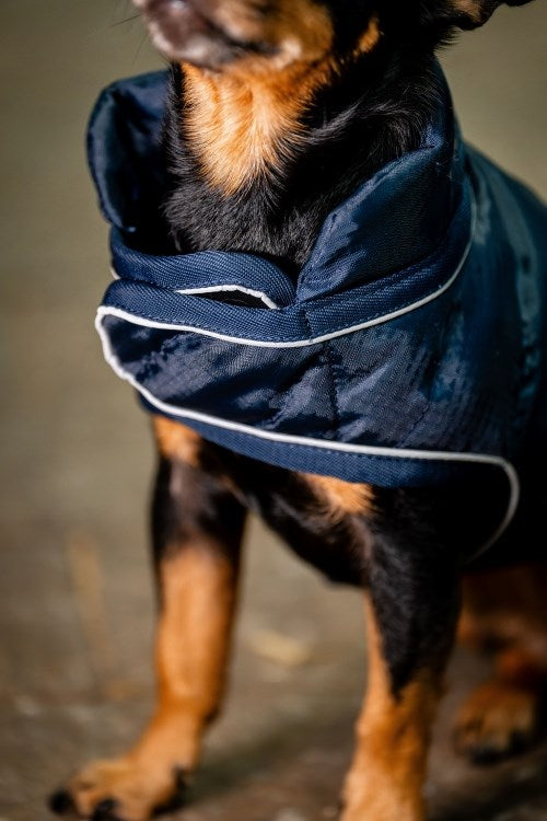 Horseware Signature Dog Rug - 3