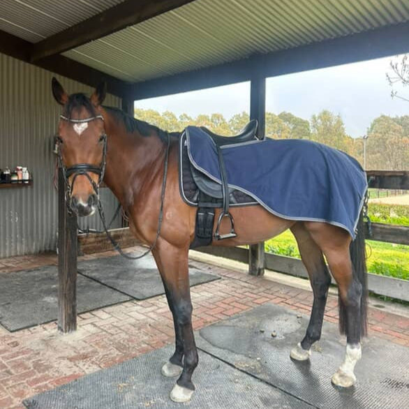 Rambo Waterproof Fleece Exercise Sheet