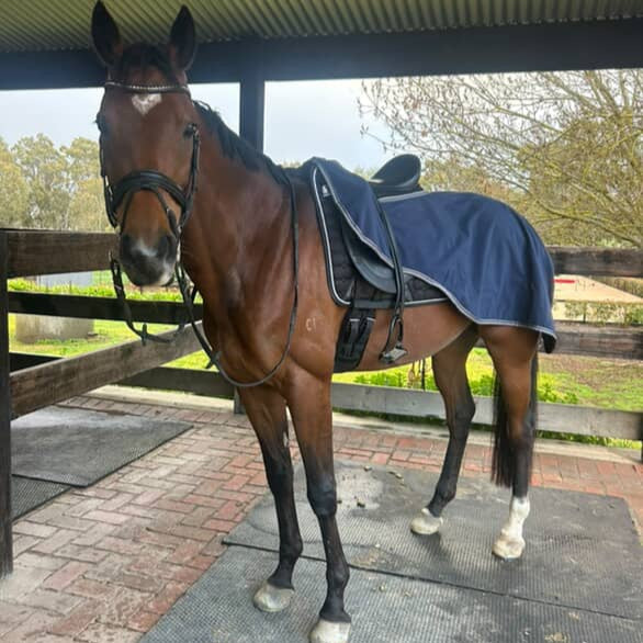 Rambo Waterproof Fleece Exercise Sheet