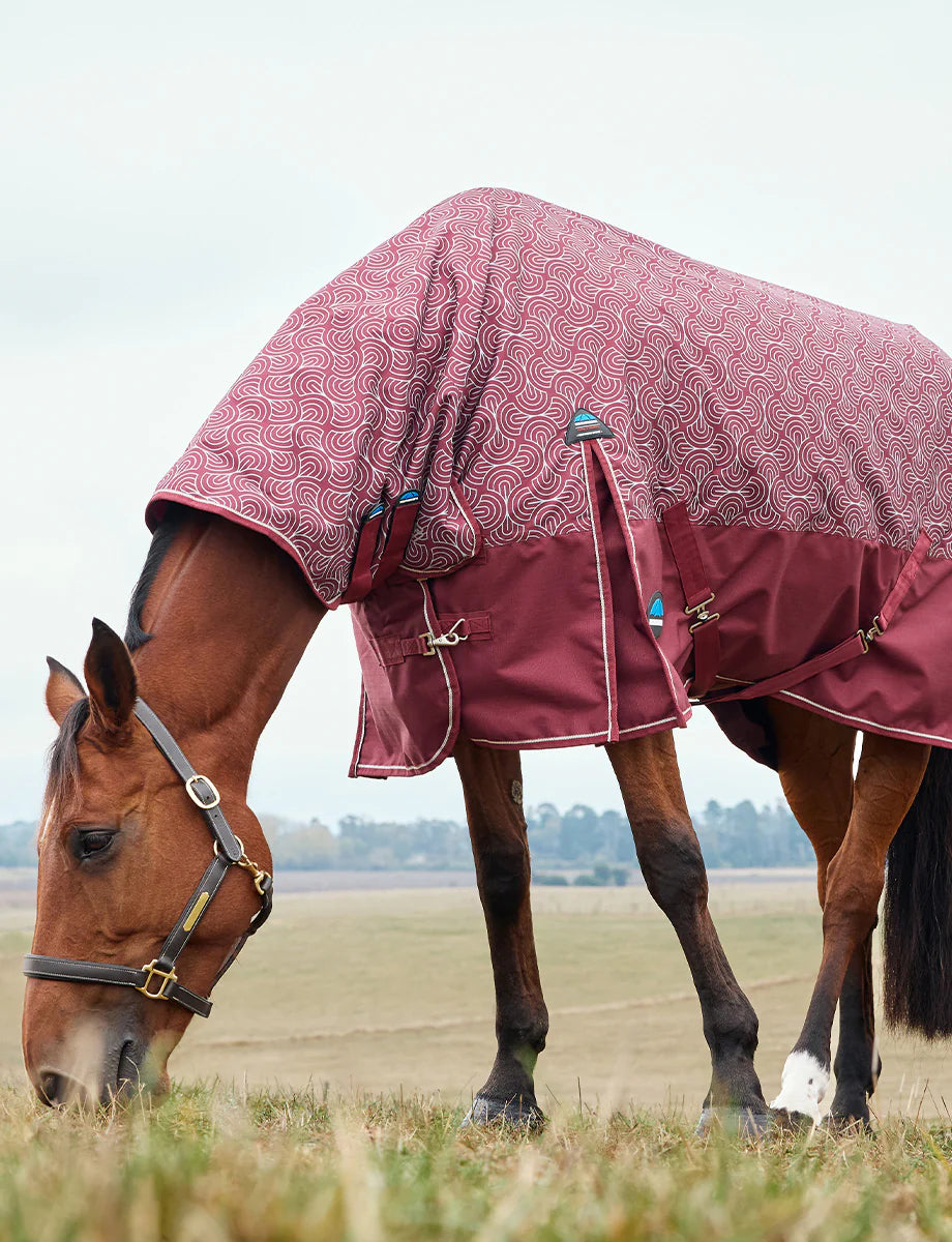 Weatherbeeta Comfitec Limited Edition Turnout Combo