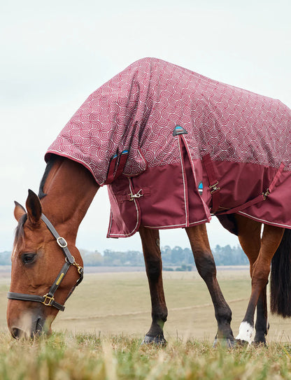 Weatherbeeta Comfitec Limited Edition Turnout Combo