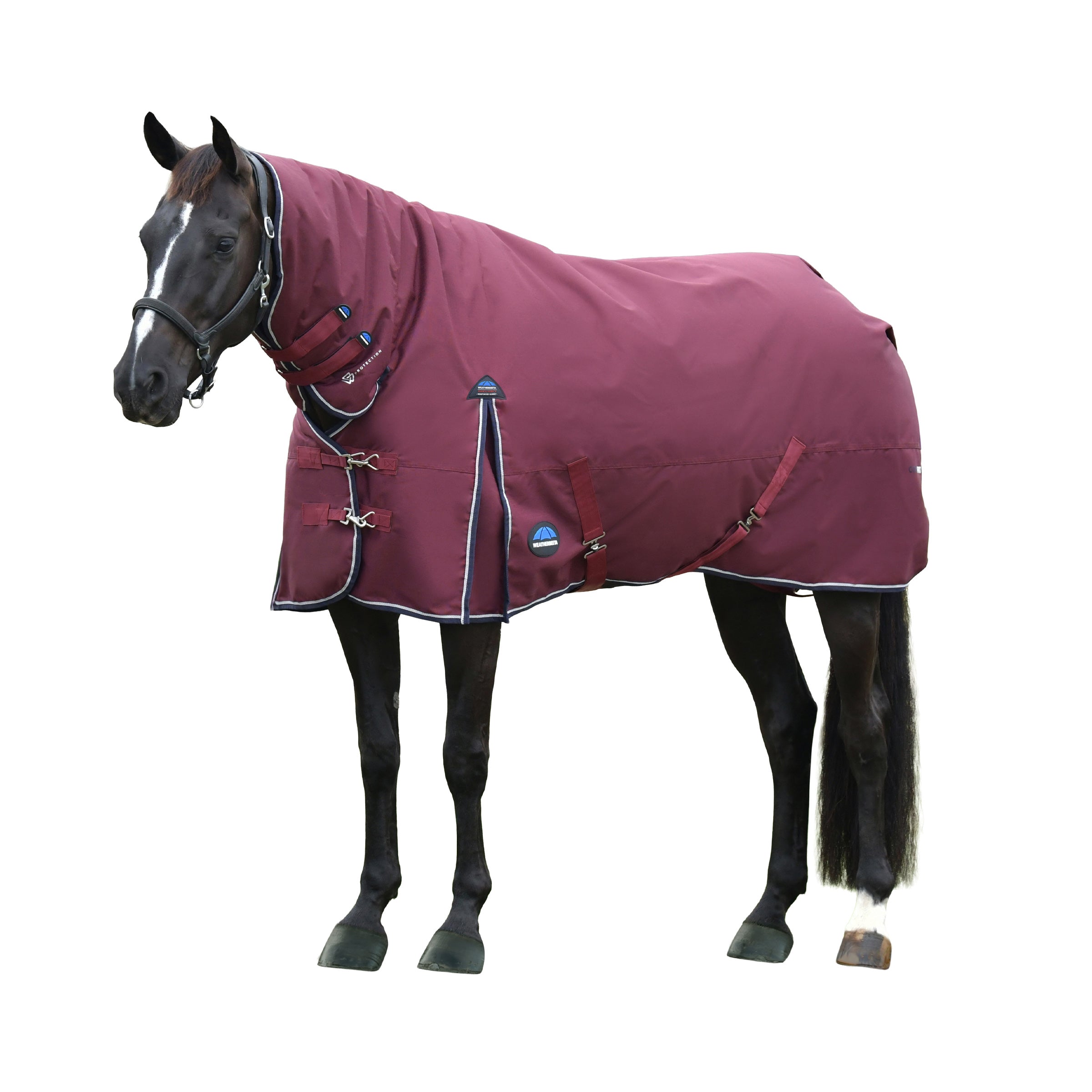 image_addtnl_1 - Burgundy/Navy - WeatherBeeta ComFiTec Essential Turnout Combo 220G - .jpg