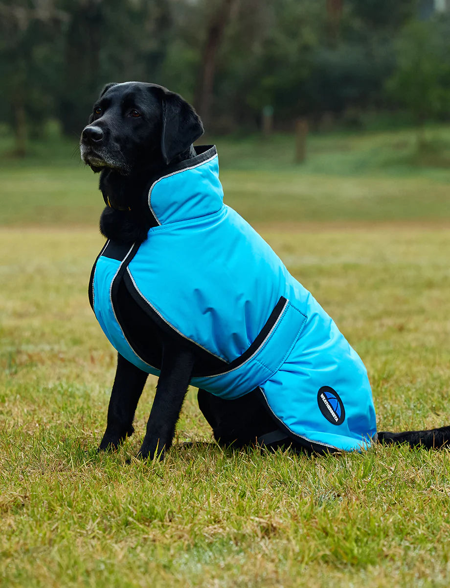 Weatherbeeta Comfitec Reflective 300D Deluxe Waterproof Dog Coat