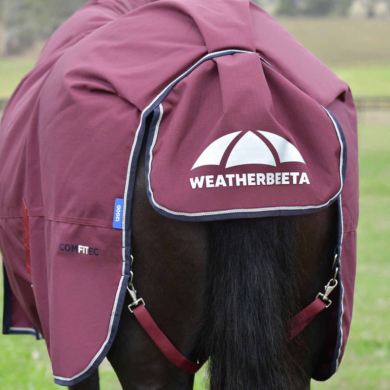image_addtnl_4 - Burgundy/Navy - WeatherBeeta ComFiTec Essential Turnout Combo 220G - .jpg