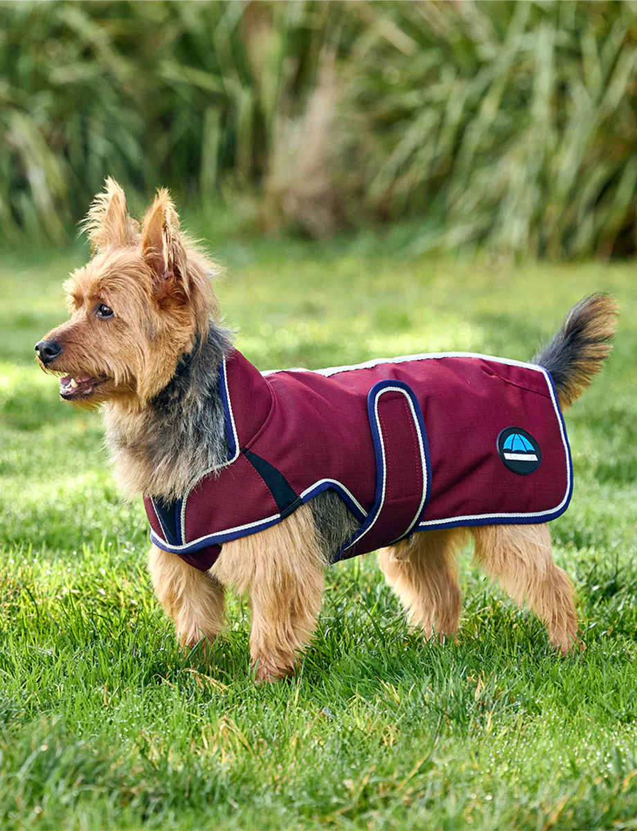 Weatherbeeta Comfitec Premier Deluxe Waterproof Dog Coat