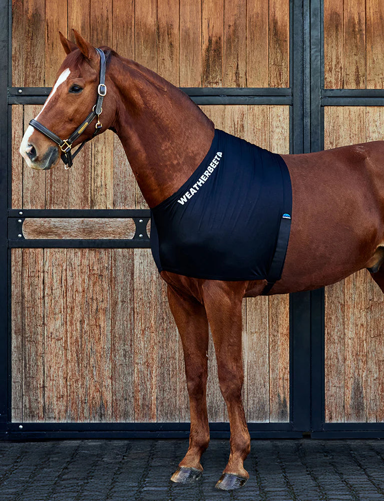 Weatherbeeta Stretch Shoulder Guard