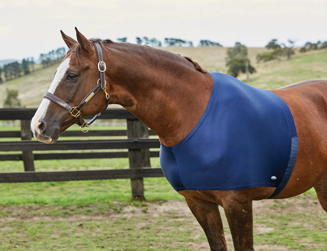 Weatherbeeta Stretch Shoulder Guard