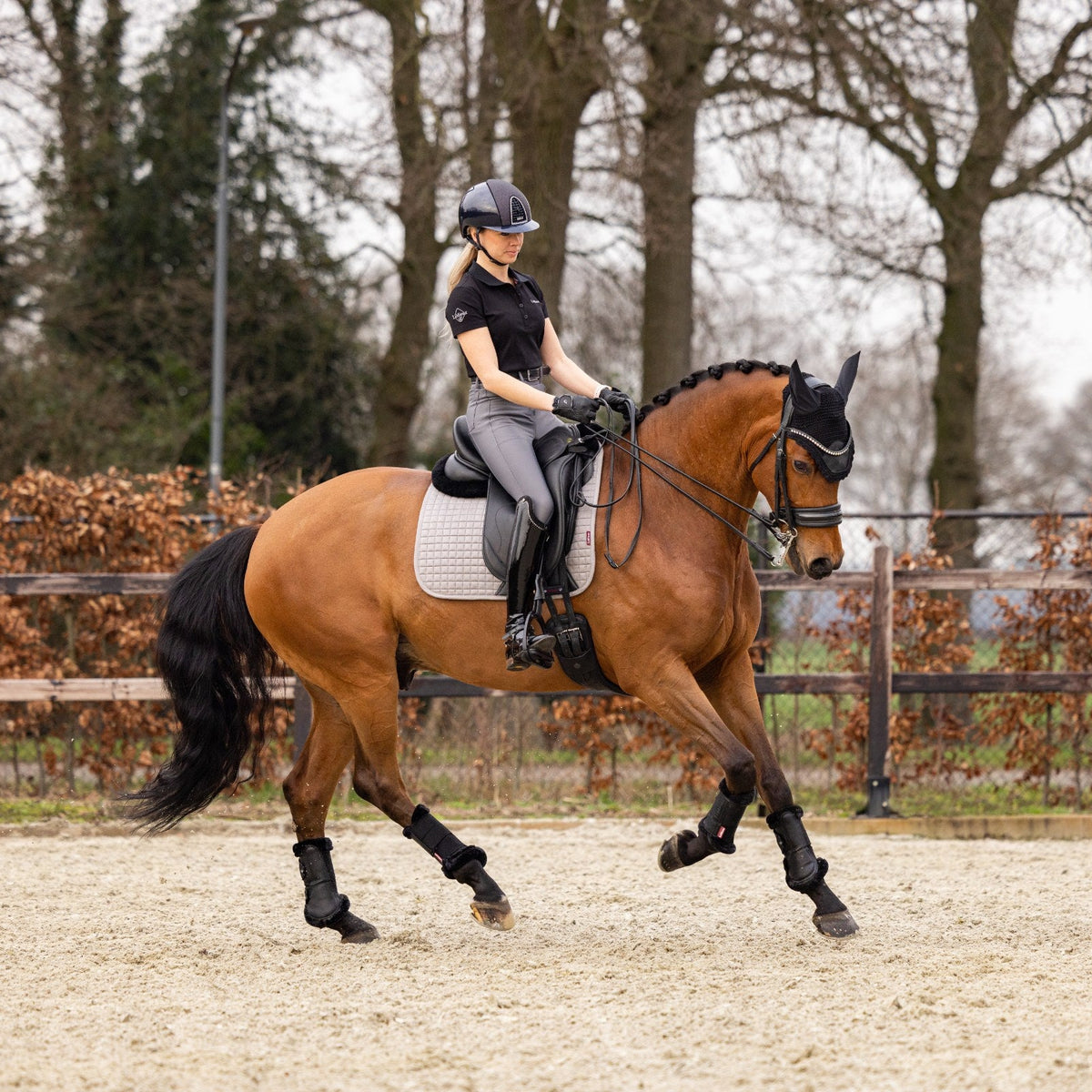 LeMieux Suede Dressage Square Grey lifestyle
