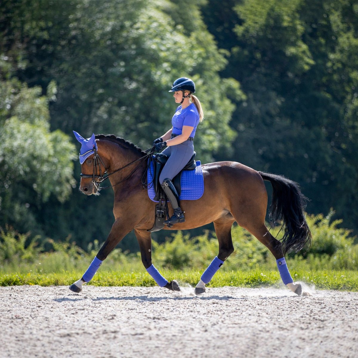 LeMieux Suede Dressage Square Bluebell lifestyle