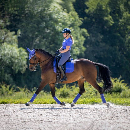 LeMieux Suede Dressage Square Bluebell lifestyle