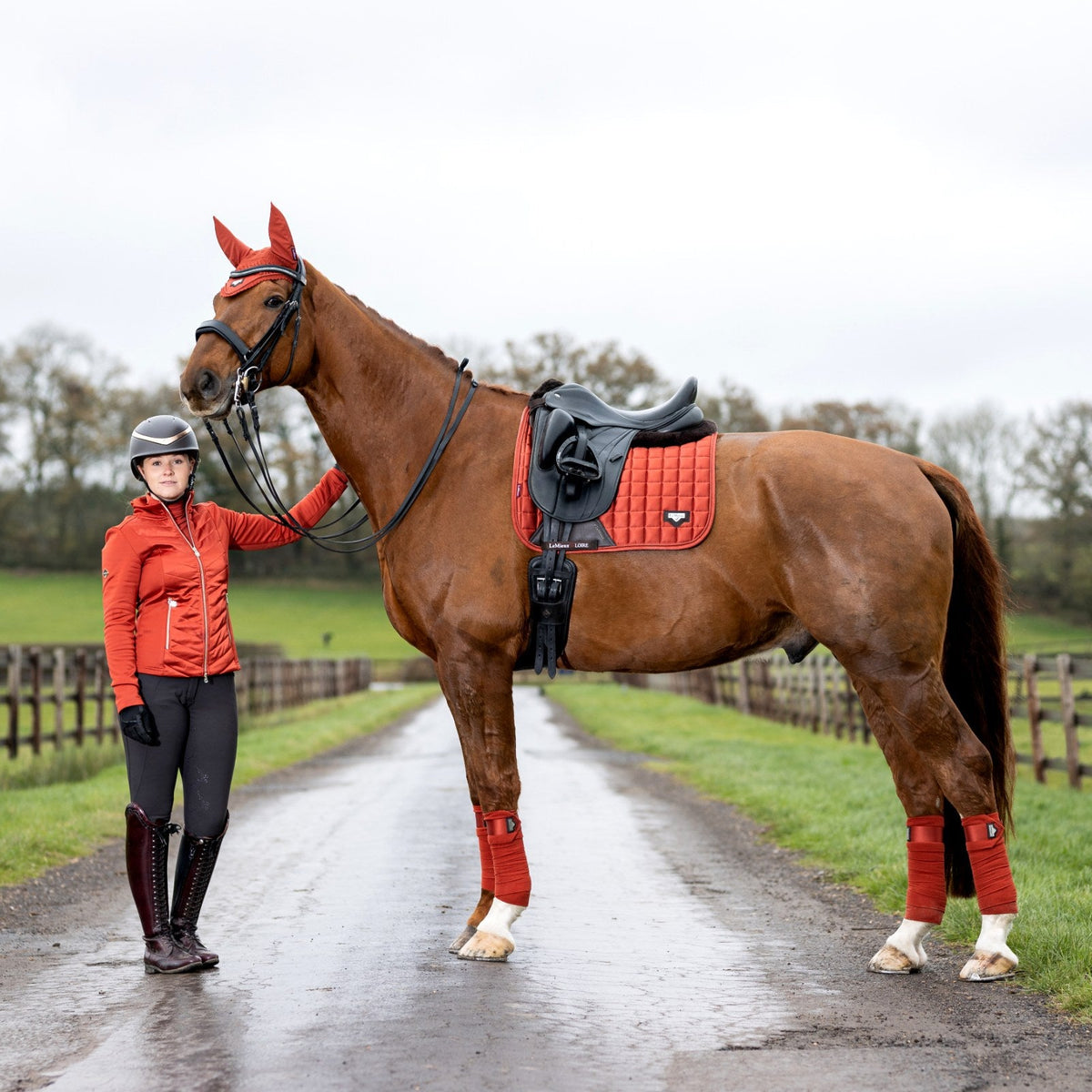LeMieux Loire Classic Dressage Square Sienna lifestyle